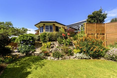 Photo of property in 6 Rochester Place, Bethlehem, Tauranga, 3110