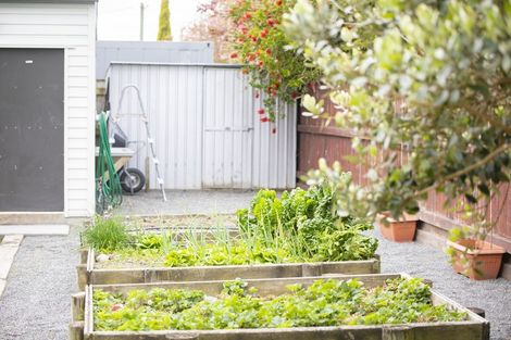 Photo of property in 9 Sheehan Street, Bay View, Napier, 4104