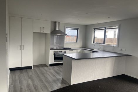 Photo of property in 141c Kermode Street, Ashburton, 7700