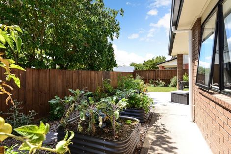 Photo of property in 65 Knighton Road, Hillcrest, Hamilton, 3216