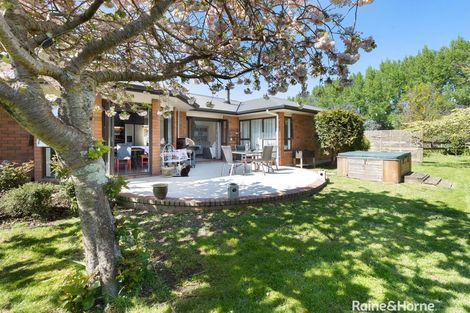Photo of property in 181c Willow Park Drive, Opaki, Masterton, 5871
