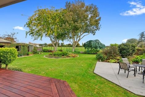 Photo of property in 13 Shelley Street, Leamington, Cambridge, 3432