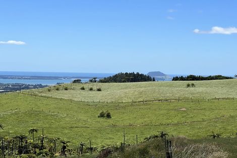 Photo of property in 596 Minden Road, Minden, Tauranga, 3176