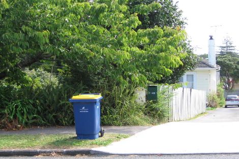 Photo of property in 115 Hutchinson Avenue, New Lynn, Auckland, 0600