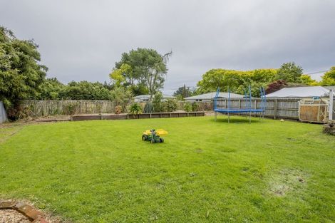 Photo of property in 60 Ballance Street, Shannon, 4821