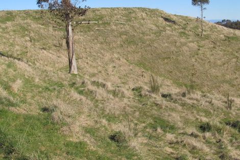 Photo of property in 315 Otake Road, Marotiri, Taupo, 3377