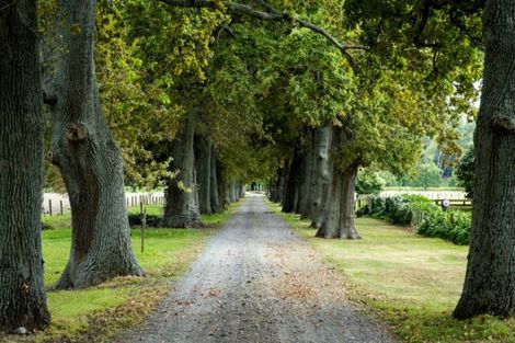 Photo of property in Silverford, 358 Dartmoor Road, Puketapu, Napier, 4186