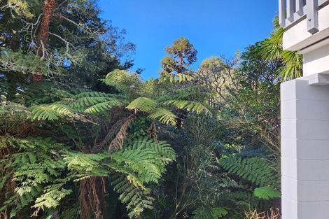 Photo of property in 15 Beeche Place, Birkdale, Auckland, 0626