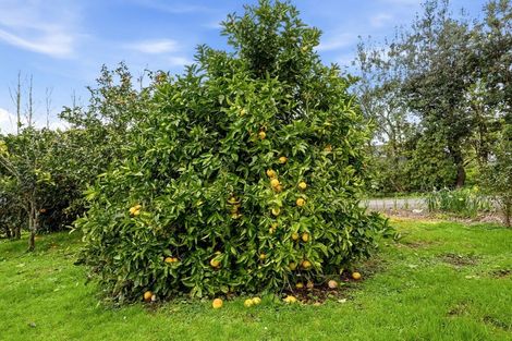 Photo of property in 497a Tara Road, Mangawhai, 0573