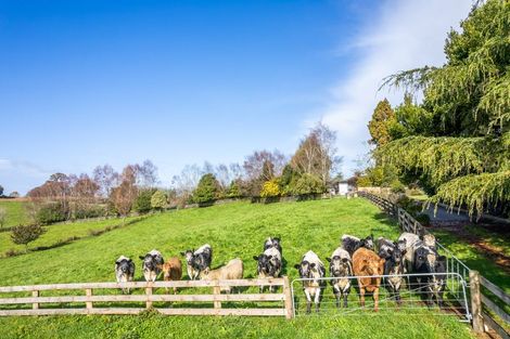 Photo of property in 384 Waikeria Road, Kihikihi, Te Awamutu, 3874