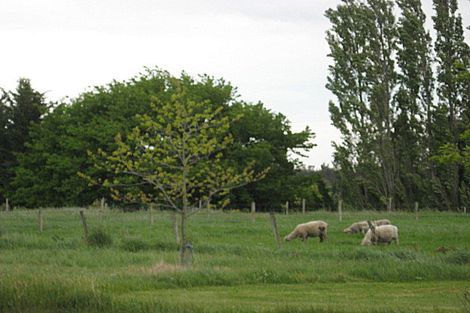 Photo of property in 28 Ashworths Road, Amberley, 7481