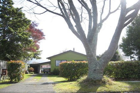 Photo of property in 38 Poihaere Street, Turangi, 3334