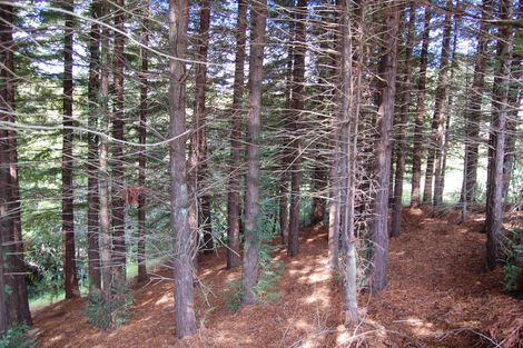 Photo of property in 18 Marshall Road, Kaiwaka, 0573