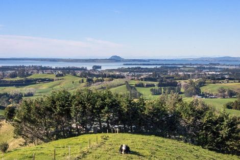 Photo of property in 345a Lindemann Road, Tahawai, Katikati, 3170