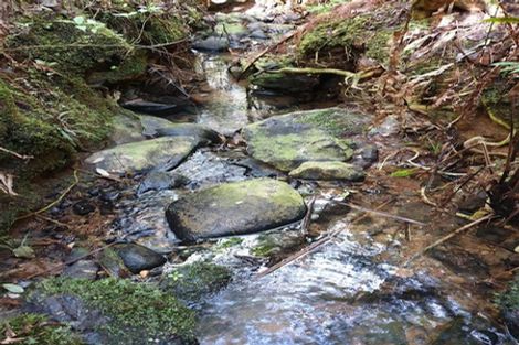 Photo of property in 372 Dangen Road, Peria, Kaitaia, 0482