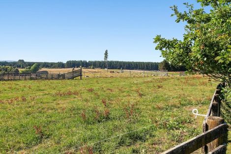 Photo of property in 1798 Te Matai Road, Te Ranga, Te Puke, 3188