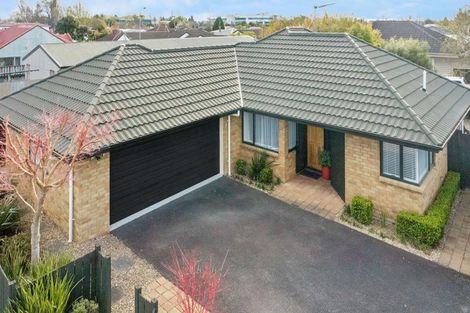 Photo of property in 61 Vardon Road, St Andrews, Hamilton, 3200