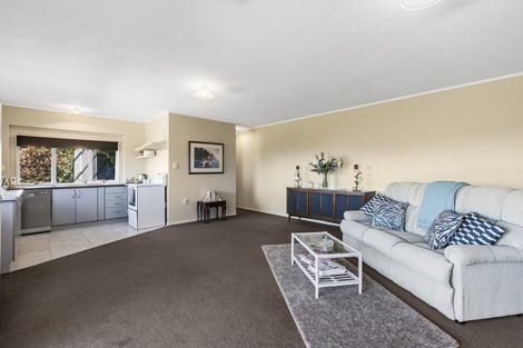 Photo of property in 155 Grange Road, Otumoetai, Tauranga, 3110