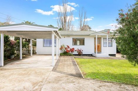 Photo of property in 142 Lynwood Road, New Lynn, Auckland, 0600