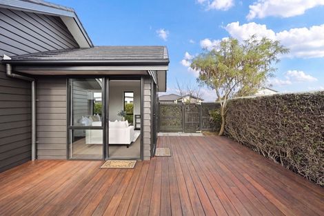 Photo of property in 24 Lulu Avenue, Chartwell, Hamilton, 3210