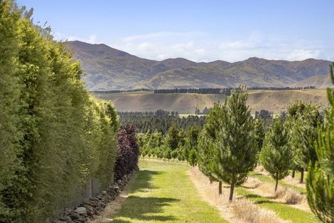 Photo of property in 42d Gladsmuir Road, Queensberry, Cromwell, 9383