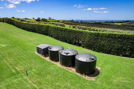 Photo of property in 54 Sinclair Road, Whakamarama, Tauranga, 3179