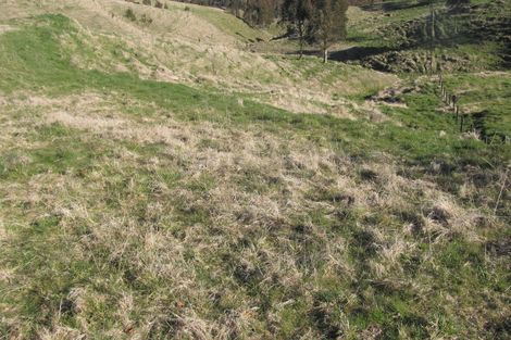 Photo of property in 315 Otake Road, Marotiri, Taupo, 3377