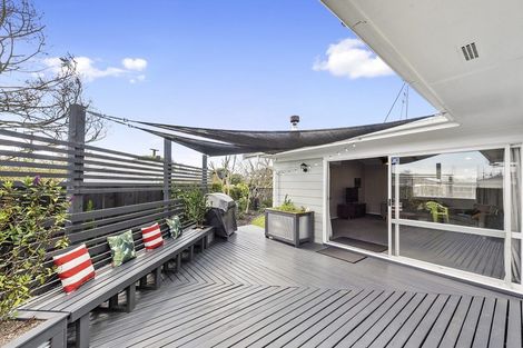 Photo of property in 17 Chelmsford Street, Silverdale, Hamilton, 3216