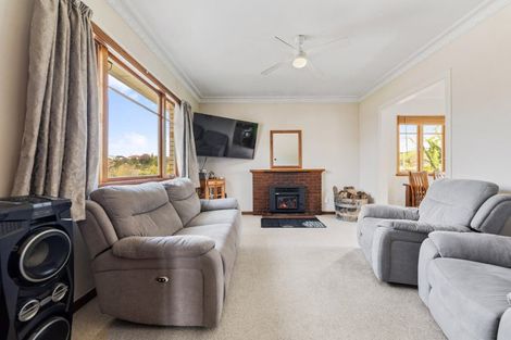 Photo of property in 28 Station Street, Tirau, 3410