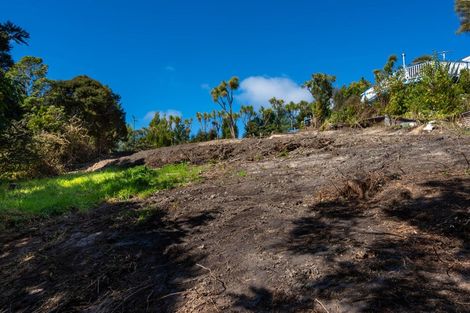 Photo of property in 16 Rowland Street, Osborne, Port Chalmers, 9081