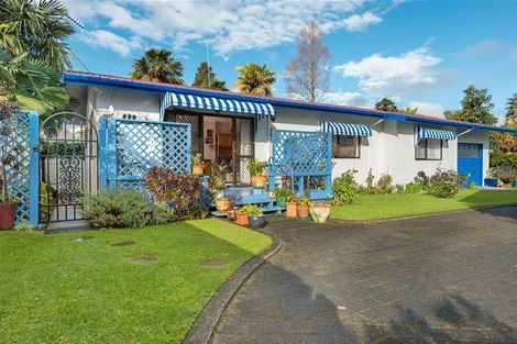 Photo of property in 80 Myres Street, Otumoetai, Tauranga, 3110