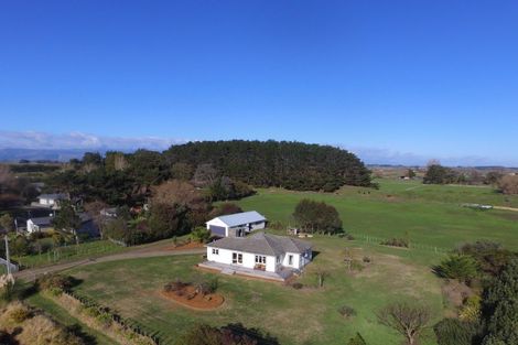 Photo of property in 46a Purcell Street, Foxton, 4814