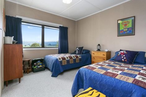 Photo of property in 2879 Arapuni Road, Pukeatua, 3880