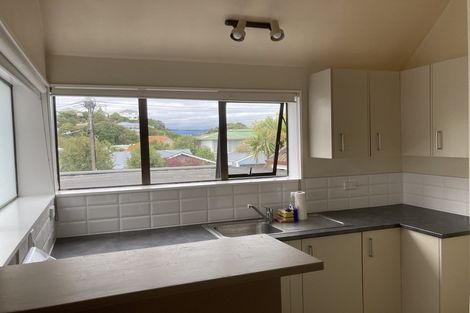 Photo of property in 2/166 Moxham Avenue, Hataitai, Wellington, 6021