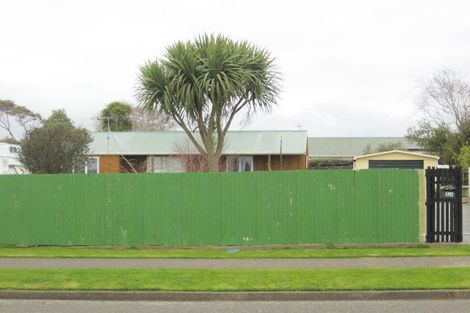 Photo of property in 170 Tiro Tiro Road, Levin, 5510