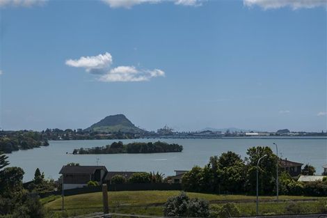 Photo of property in 22a Wickham Place, Hairini, Tauranga, 3112