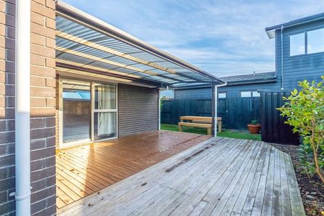 Photo of property in 14 Capper Crescent, Chartwell, Hamilton, 3210