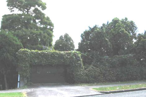 Photo of property in 117 Hutchinson Avenue, New Lynn, Auckland, 0600