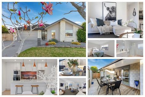 Photo of property in 19 Tuaia Street, Pyes Pa, Tauranga, 3112