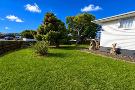 Photo of property in 1 Hywell Place, Manurewa, Auckland, 2102