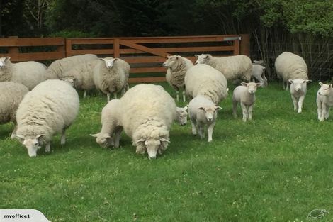 Photo of property in 550 Buchanans Road, Yaldhurst, Christchurch, 7676