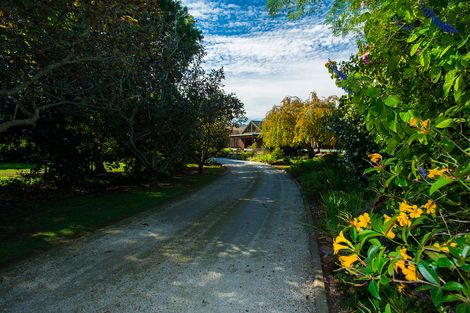 Photo of property in 862 Matawai Road, Ormond, Gisborne, 4071