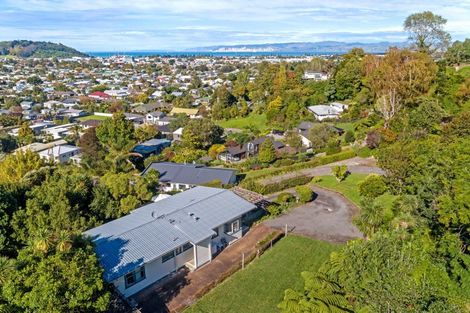 Photo of property in 197 Russell Street, Whataupoko, Gisborne, 4010