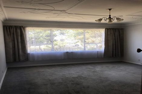 Photo of property in 33 Hobart Street, Miramar, Wellington, 6022