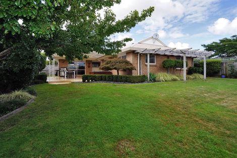 Photo of property in 36 Macmurdo Avenue, Glenview, Hamilton, 3206