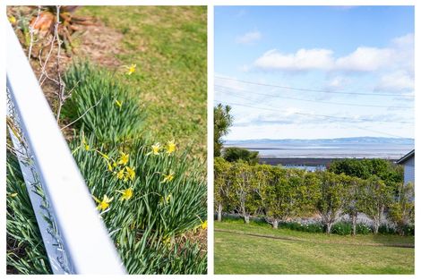 Photo of property in 107 Hauraki Terrace, Thames, 3500