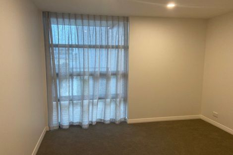 Photo of property in 514/8 Kingsland Terrace, Kingsland, Auckland, 1021