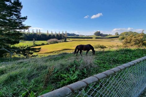 Photo of property in 584b State Highway 3, Waitomo, Te Kuiti, 3977
