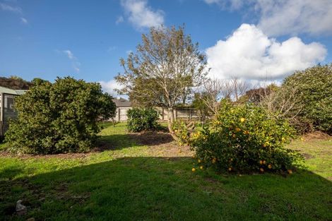 Photo of property in 17 France Street, Waiuku, 2123
