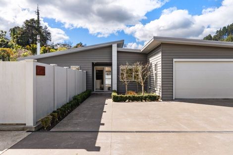 Photo of property in 134b Ballance Street, Whataupoko, Gisborne, 4010